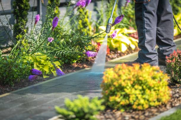 Best Pool Deck Cleaning in Bay Park, NY